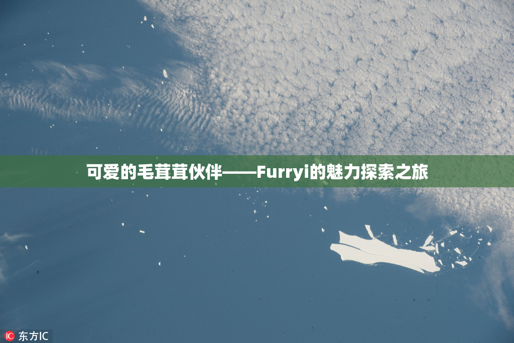 可爱的毛茸茸伙伴——Furryi的魅力探索之旅