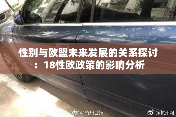 性别与欧盟未来发展的关系探讨：18性欧政策的影响分析