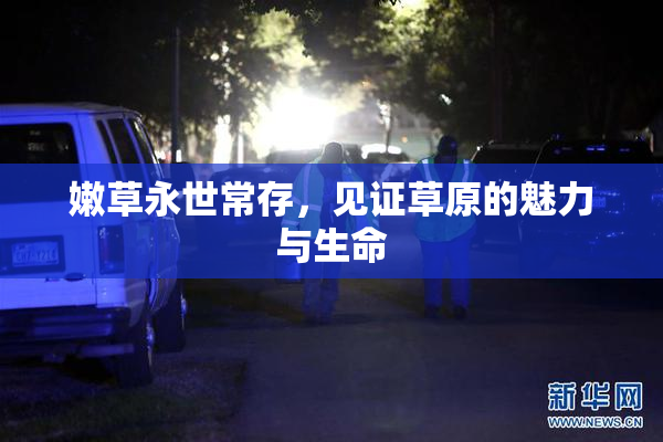 嫩草永世常存，见证草原的魅力与生命