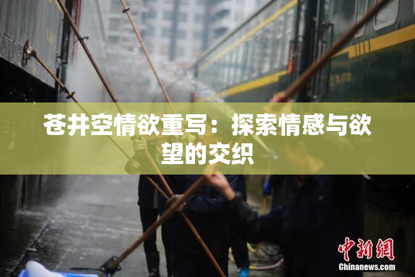 苍井空情欲重写：探索情感与欲望的交织