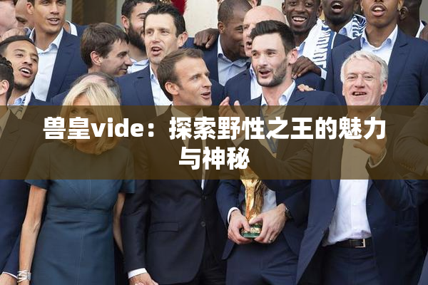 兽皇vide：探索野性之王的魅力与神秘