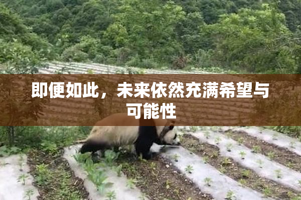 即便如此，未来依然充满希望与可能性