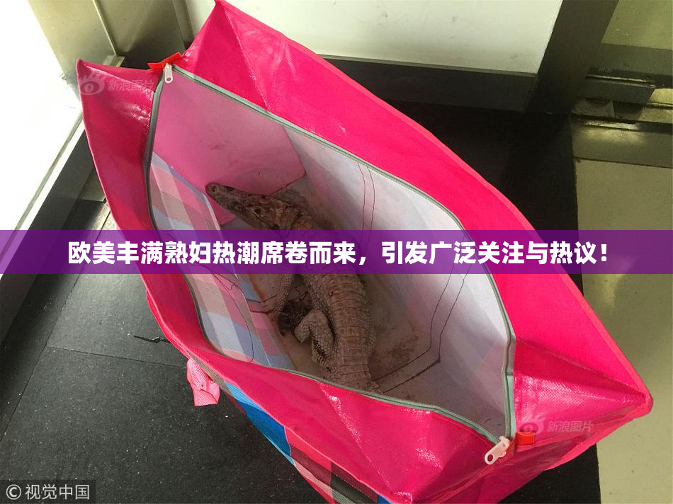 欧美丰满熟妇热潮席卷而来，引发广泛关注与热议！