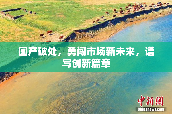 国产破处，勇闯市场新未来，谱写创新篇章