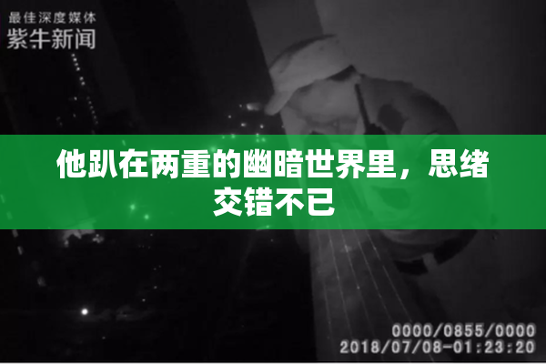 他趴在两重的幽暗世界里，思绪交错不已