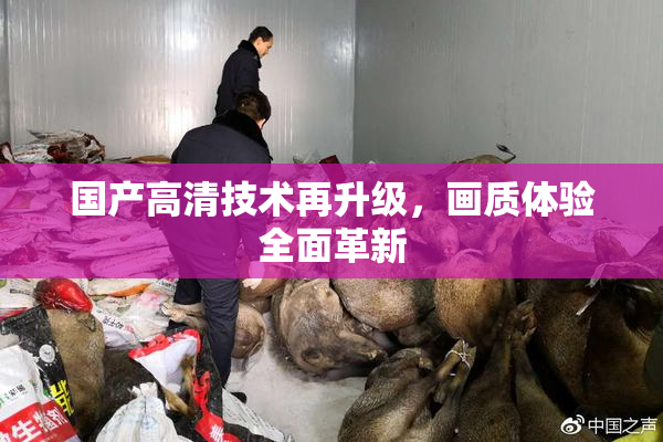 国产高清技术再升级，画质体验全面革新