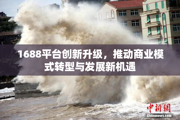 1688平台创新升级，推动商业模式转型与发展新机遇