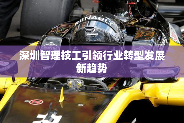 深圳智理技工引领行业转型发展新趋势