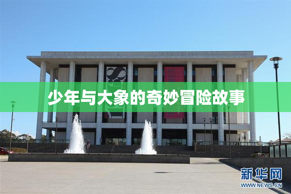 少年与大象的奇妙冒险故事