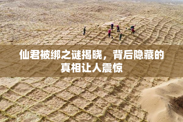 仙君被绑之谜揭晓，背后隐藏的真相让人震惊