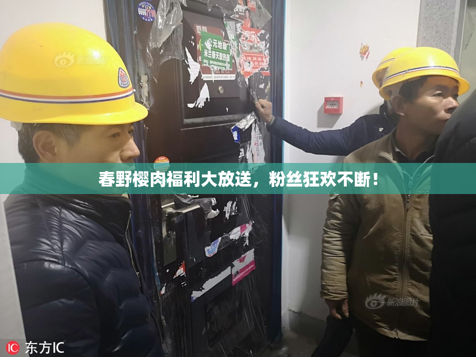 春野樱肉福利大放送，粉丝狂欢不断！