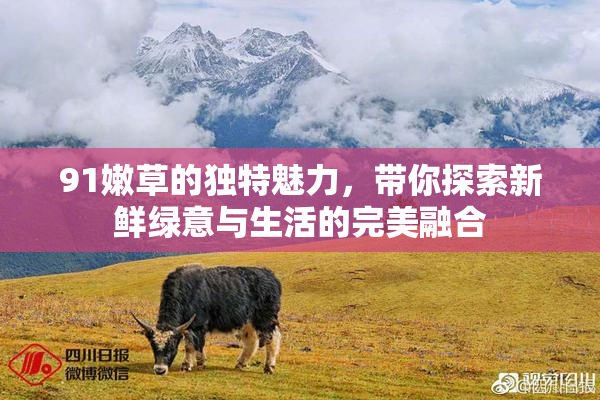 91嫩草的独特魅力，带你探索新鲜绿意与生活的完美融合