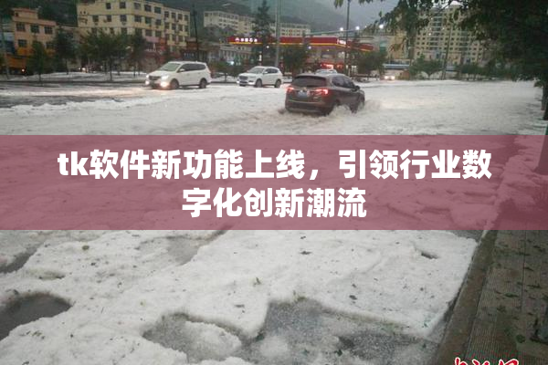 tk软件新功能上线，引领行业数字化创新潮流