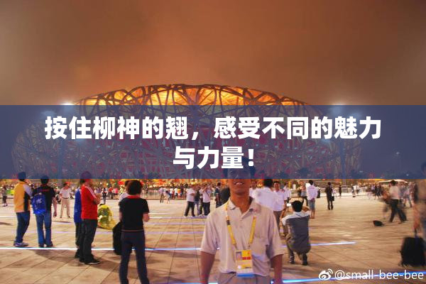 按住柳神的翘，感受不同的魅力与力量！