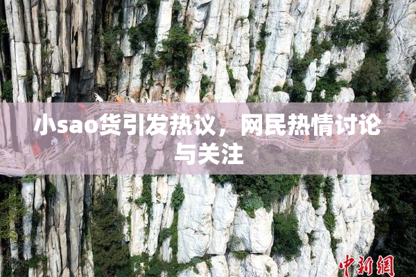 小sao货引发热议，网民热情讨论与关注