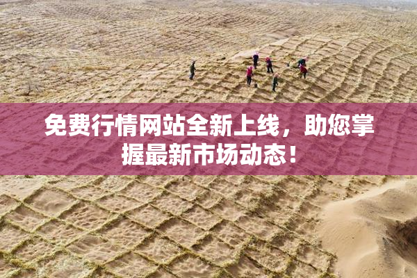 免费行情网站全新上线，助您掌握最新市场动态！