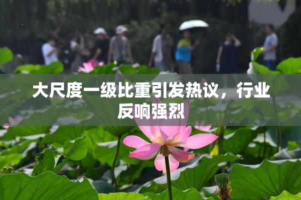 大尺度一级比重引发热议，行业反响强烈