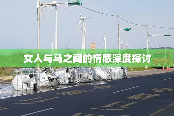 女人与马之间的情感深度探讨