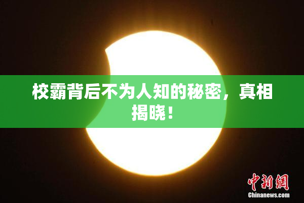 校霸背后不为人知的秘密，真相揭晓！