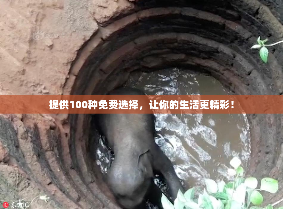 提供100种免费选择，让你的生活更精彩！