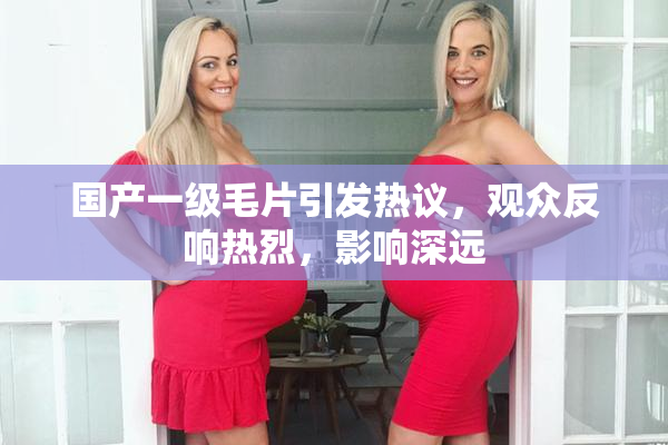 国产一级毛片引发热议，观众反响热烈，影响深远