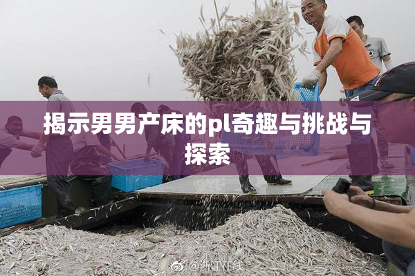 揭示男男产床的pl奇趣与挑战与探索
