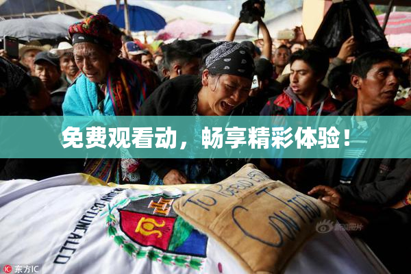 免费观看动，畅享精彩体验！