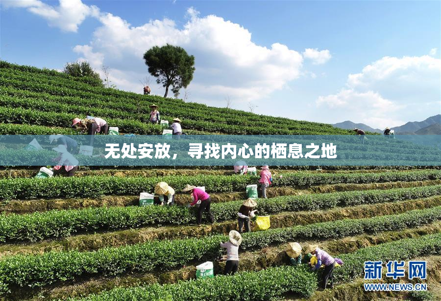 无处安放，寻找内心的栖息之地
