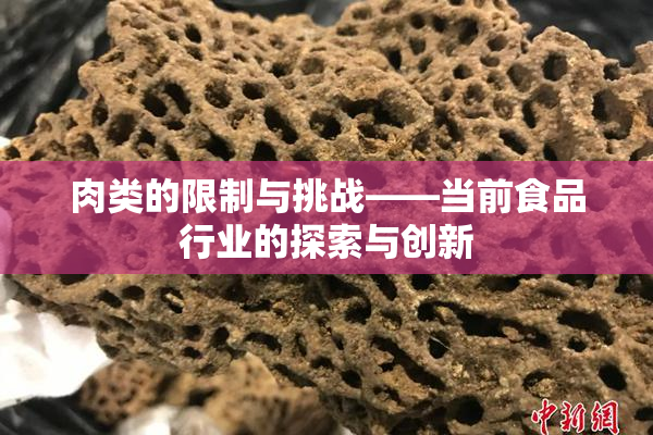 肉类的限制与挑战——当前食品行业的探索与创新