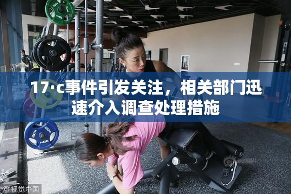 17·c事件引发关注，相关部门迅速介入调查处理措施