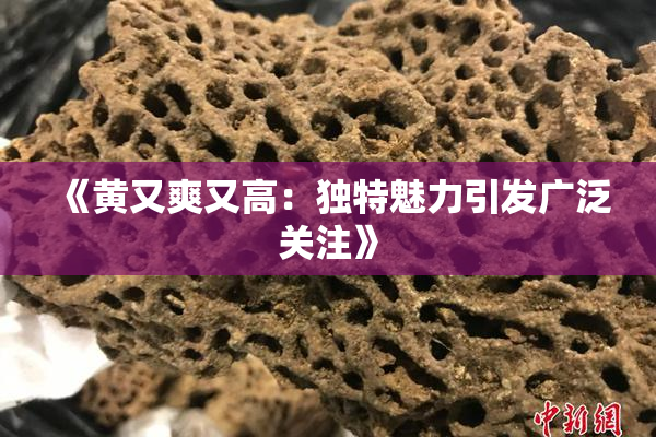 《黄又爽又高：独特魅力引发广泛关注》