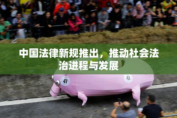 中国法律新规推出，推动社会法治进程与发展