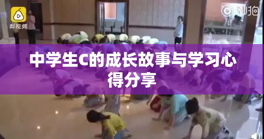 中学生C的成长故事与学习心得分享