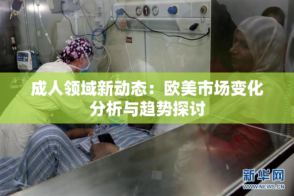 成人领域新动态：欧美市场变化分析与趋势探讨