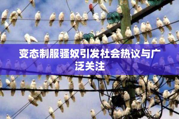 变态制服骚奴引发社会热议与广泛关注