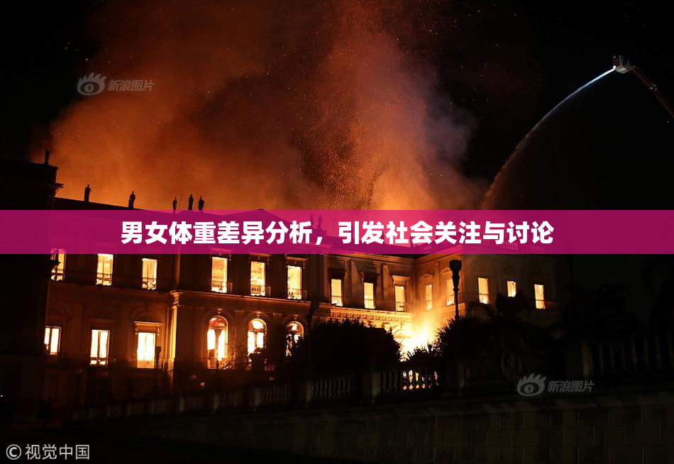 男女体重差异分析，引发社会关注与讨论