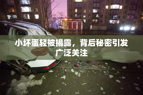 小坏蛋轻被揭露，背后秘密引发广泛关注