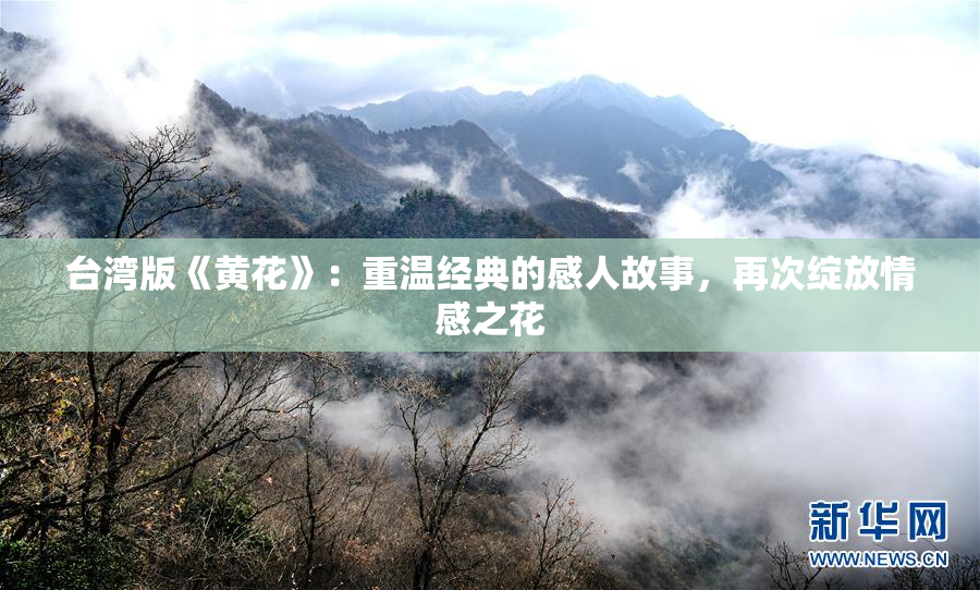 台湾版《黄花》：重温经典的感人故事，再次绽放情感之花