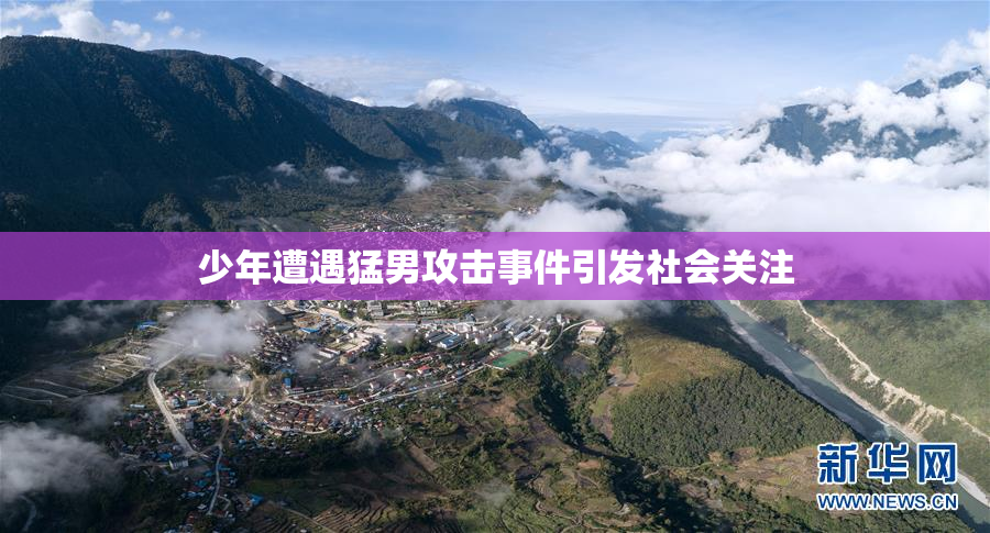 少年遭遇猛男攻击事件引发社会关注