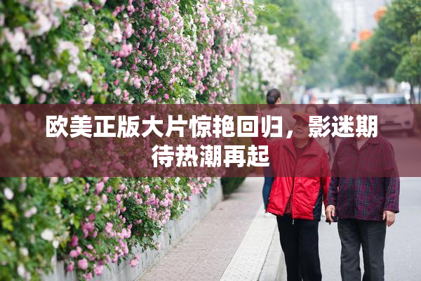 欧美正版大片惊艳回归，影迷期待热潮再起