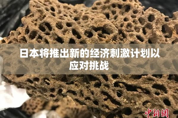 日本将推出新的经济刺激计划以应对挑战