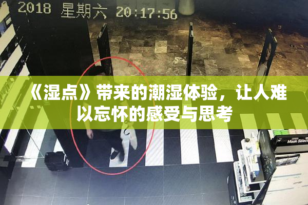 《湿点》带来的潮湿体验，让人难以忘怀的感受与思考