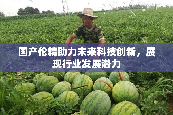 国产伦精助力未来科技创新，展现行业发展潜力