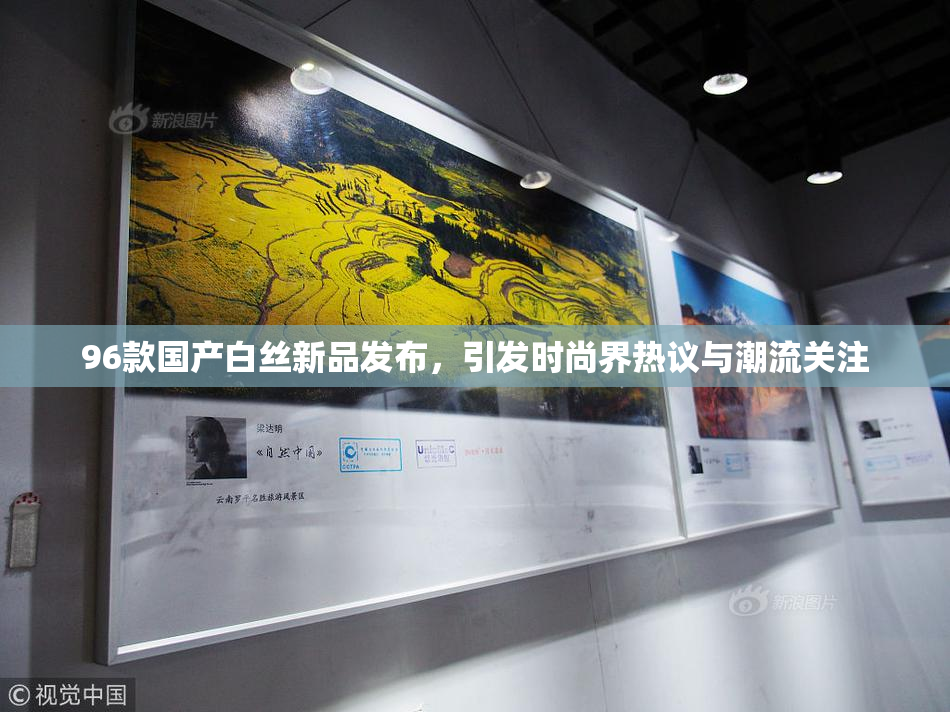 96款国产白丝新品发布，引发时尚界热议与潮流关注