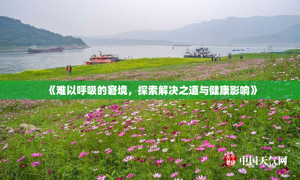 《难以呼吸的窘境，探索解决之道与健康影响》