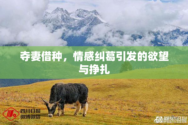 夺妻借种，情感纠葛引发的欲望与挣扎