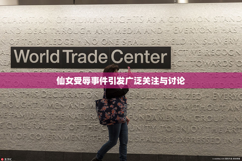 仙女受辱事件引发广泛关注与讨论
