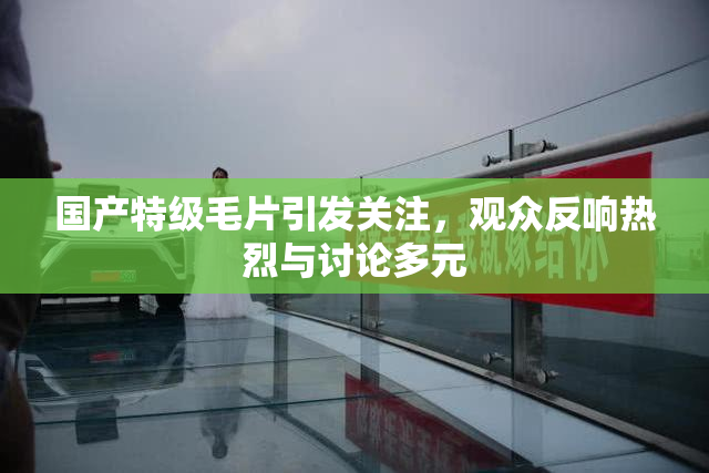国产特级毛片引发关注，观众反响热烈与讨论多元