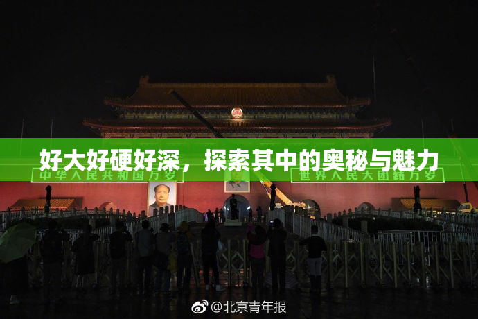 好大好硬好深，探索其中的奥秘与魅力