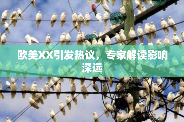 欧美XX引发热议，专家解读影响深远